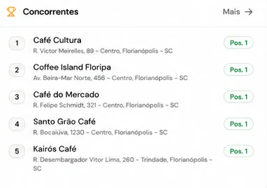 Lista de concorrentes locais monitorados no painel do Pelgrin, com posição de cada um no Google